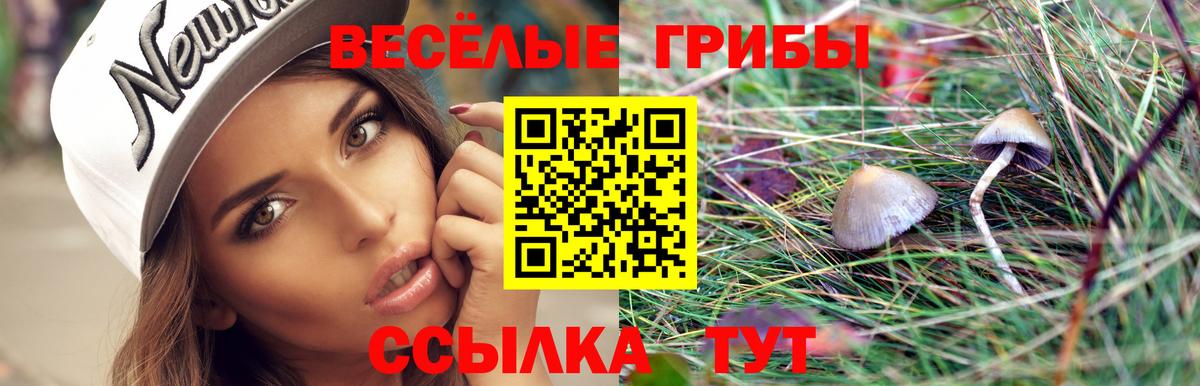 Галлюциногенные грибы MAGIC MUSHROOMS Лабытнанги